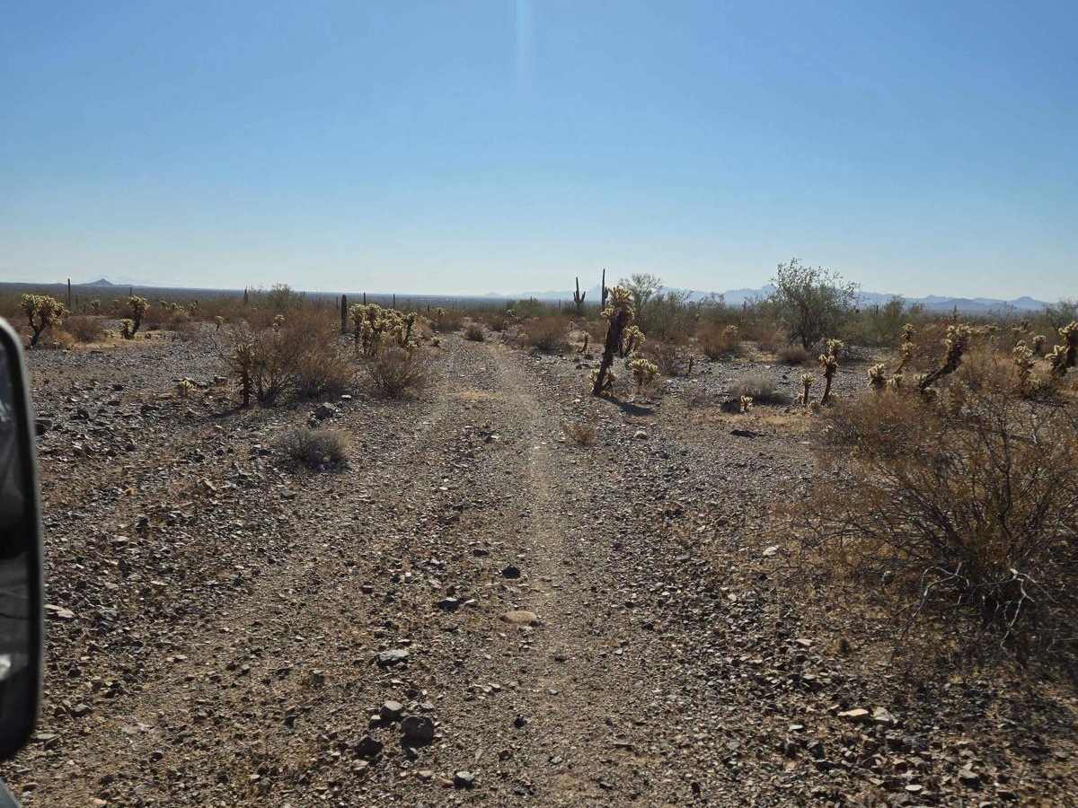 Bush Wacker trail photo