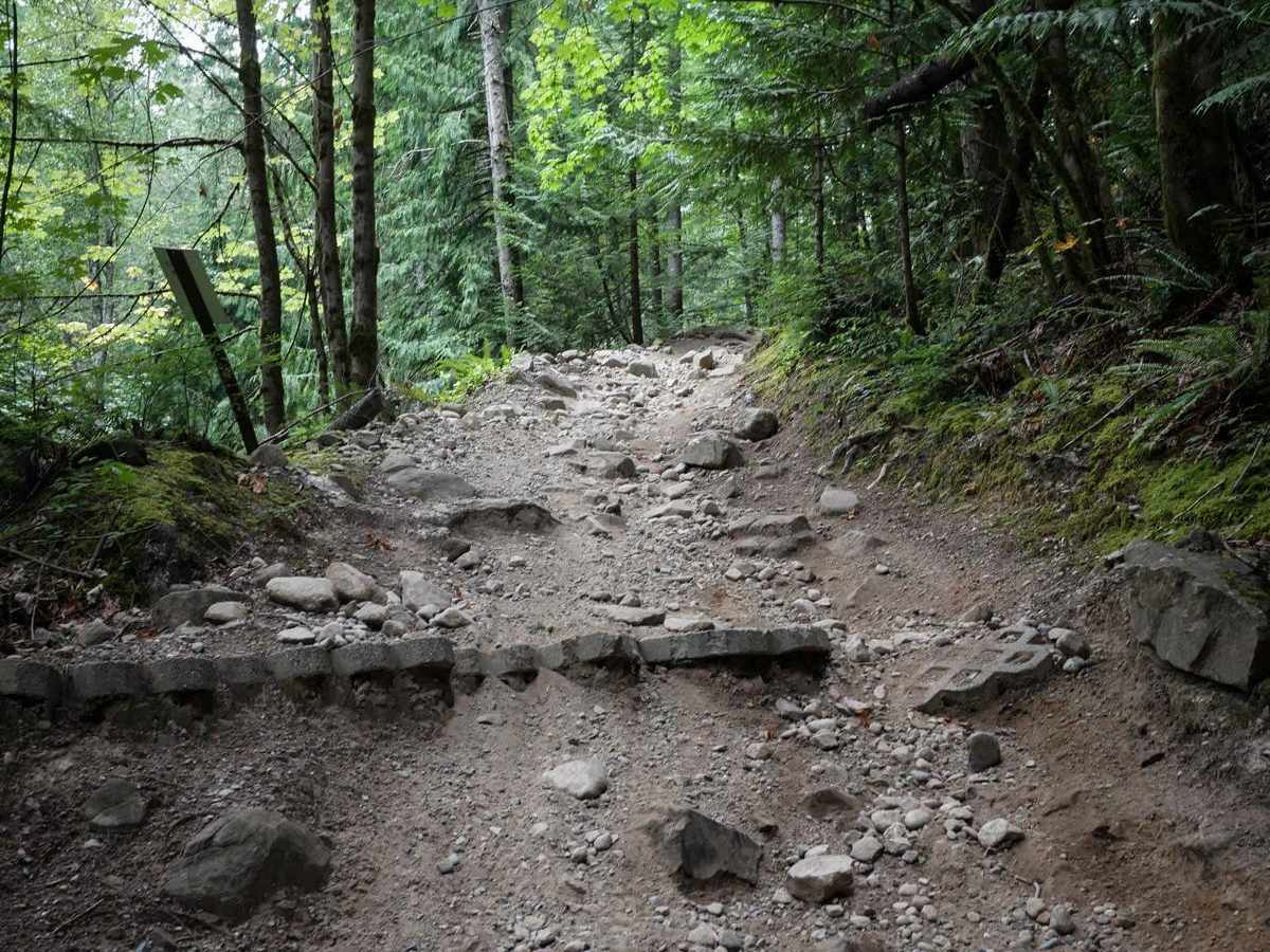 Pats trail photo