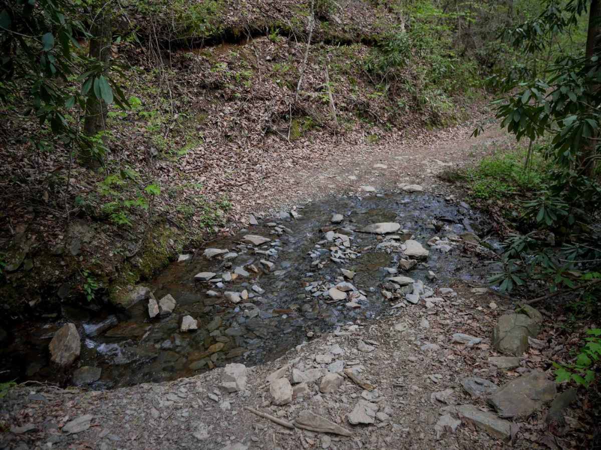 Milma Creek photo 4