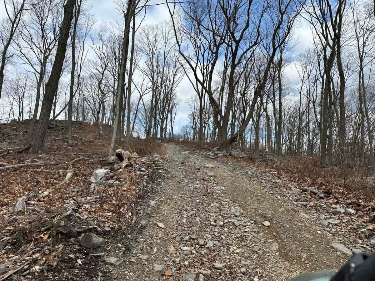 Ashland 65 photo 5