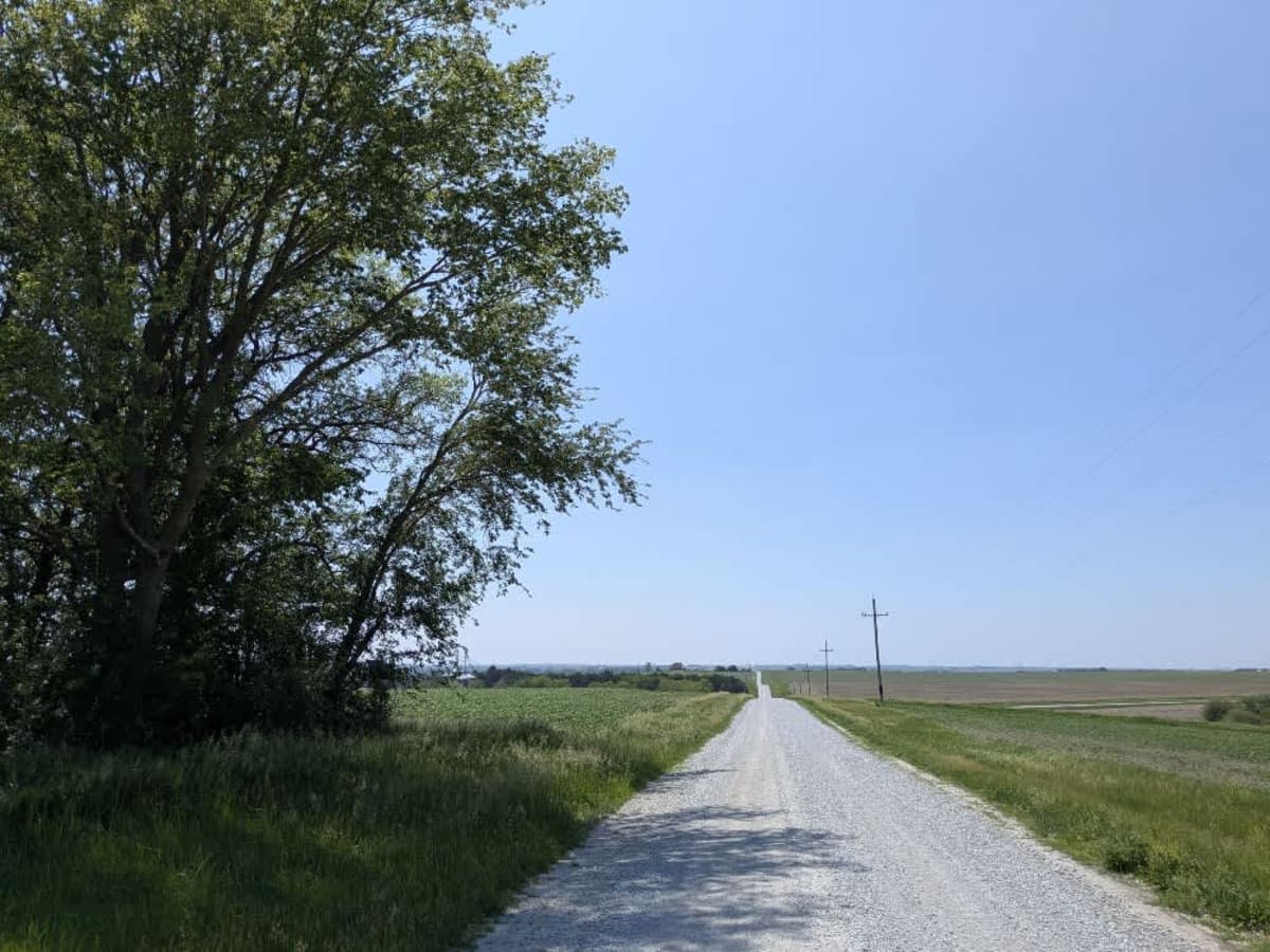 O Road photo 5