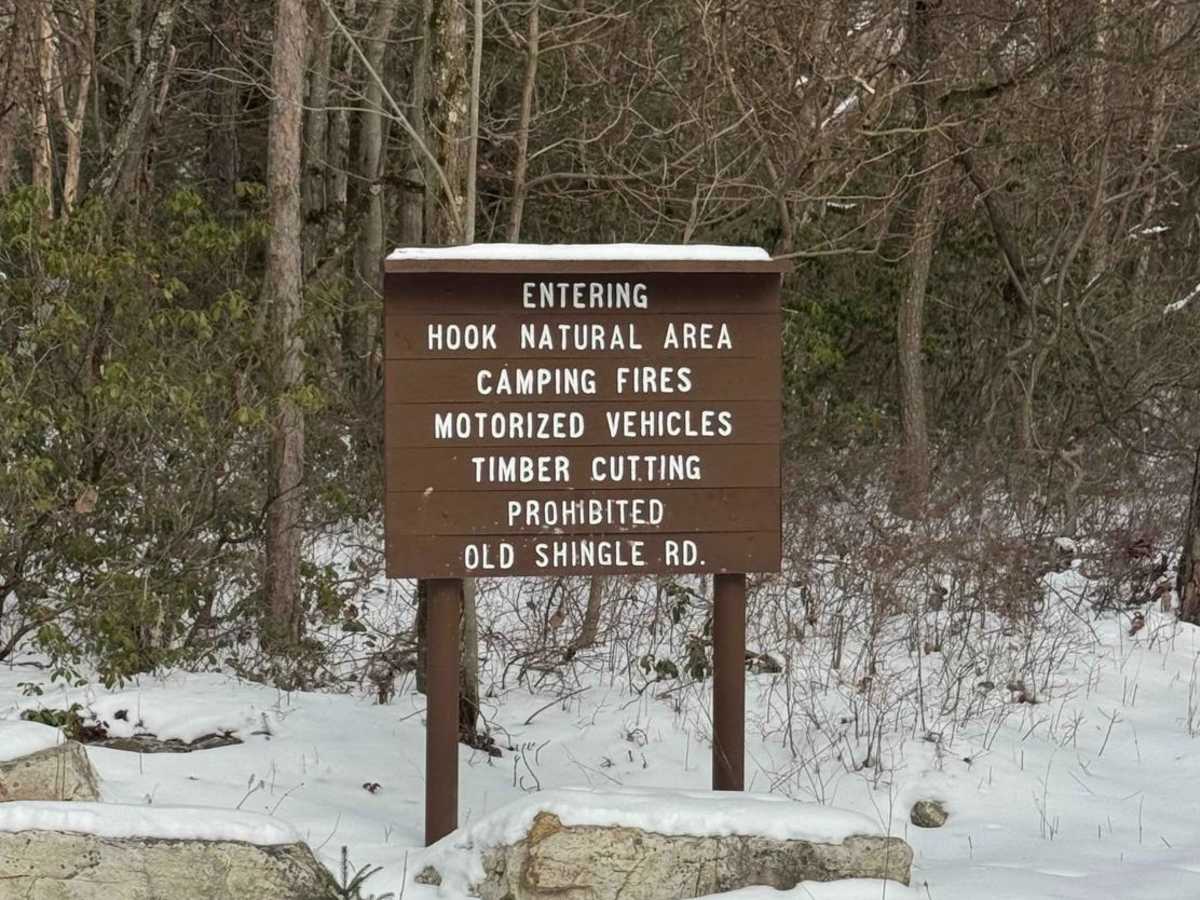 Old Shingle Road trail photo