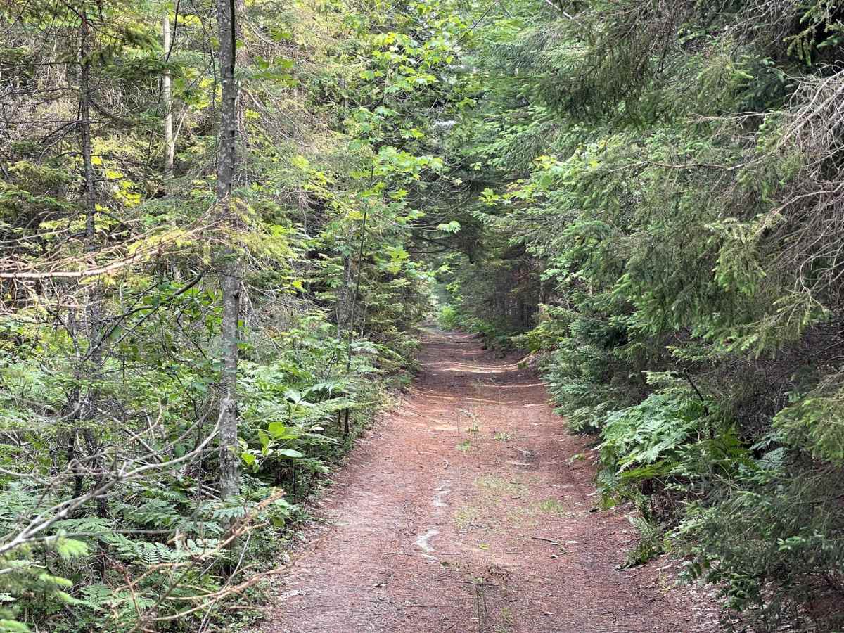 Hay Lake Spur Trail photo 4