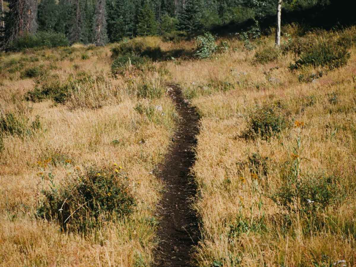 Sawmill Gulch Trail photo 2