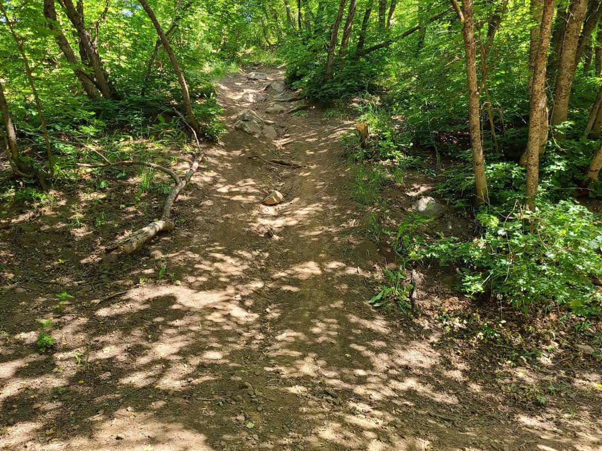 Maple to Sugar Creek photo 3