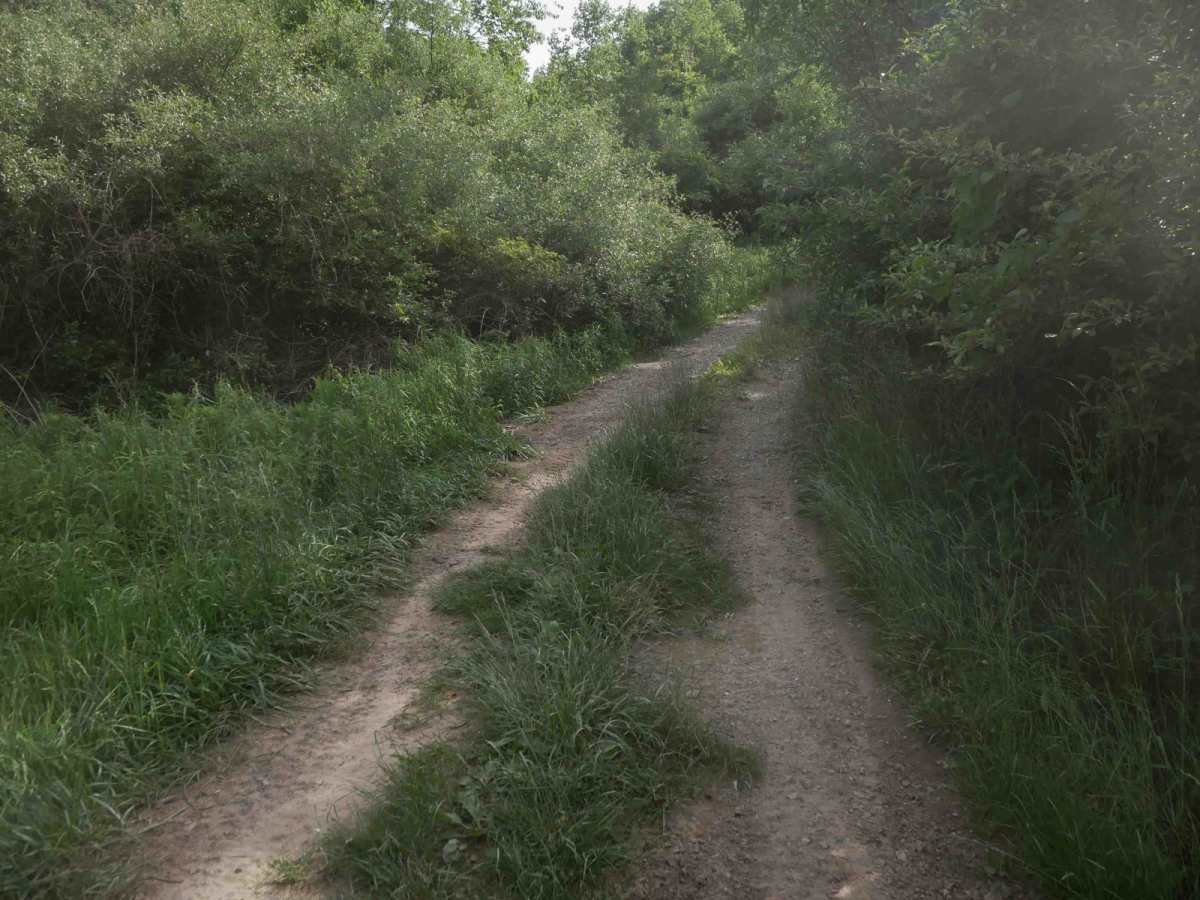 MV16 photo 3