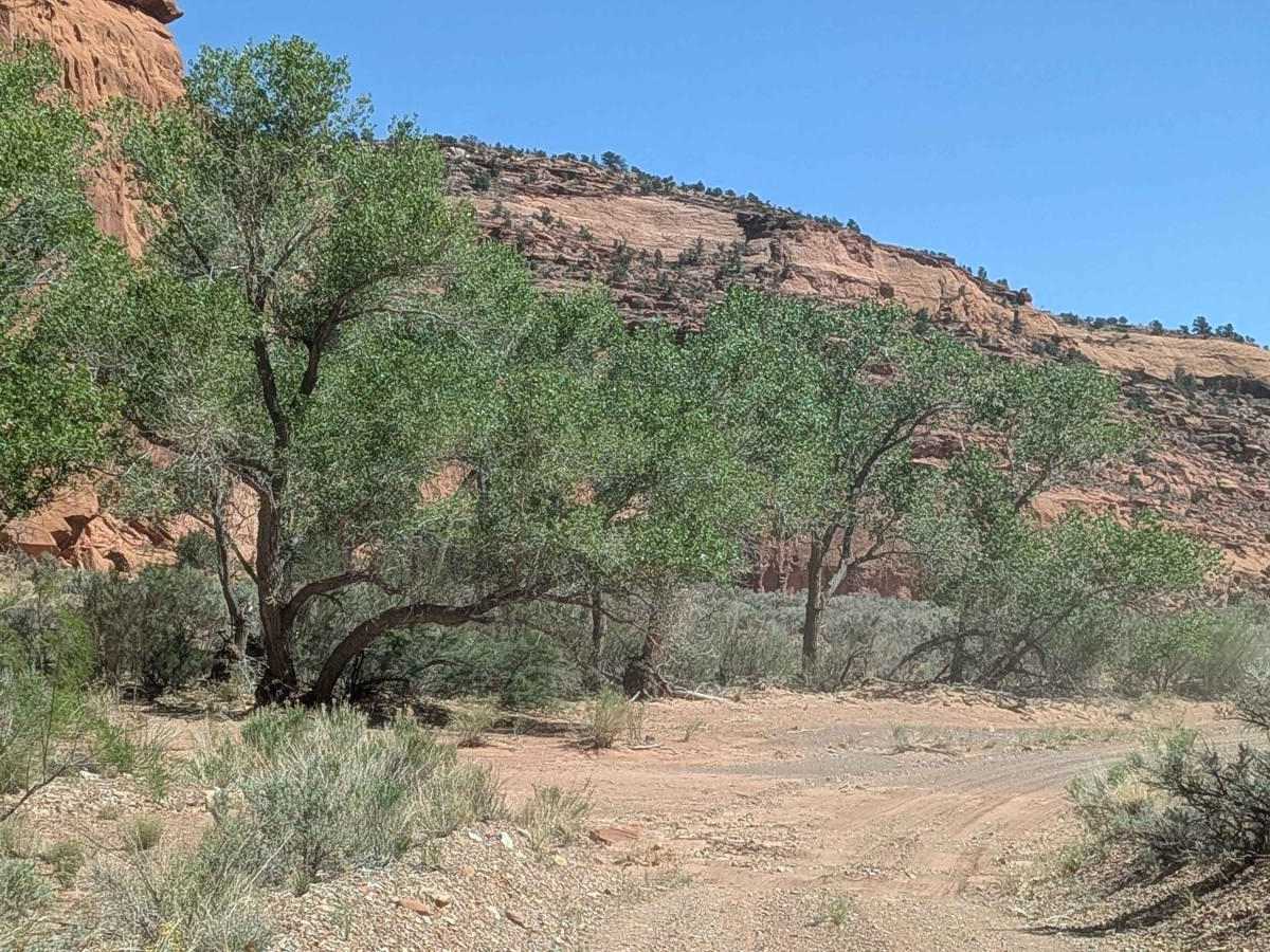 Wolverine Canyon photo 6