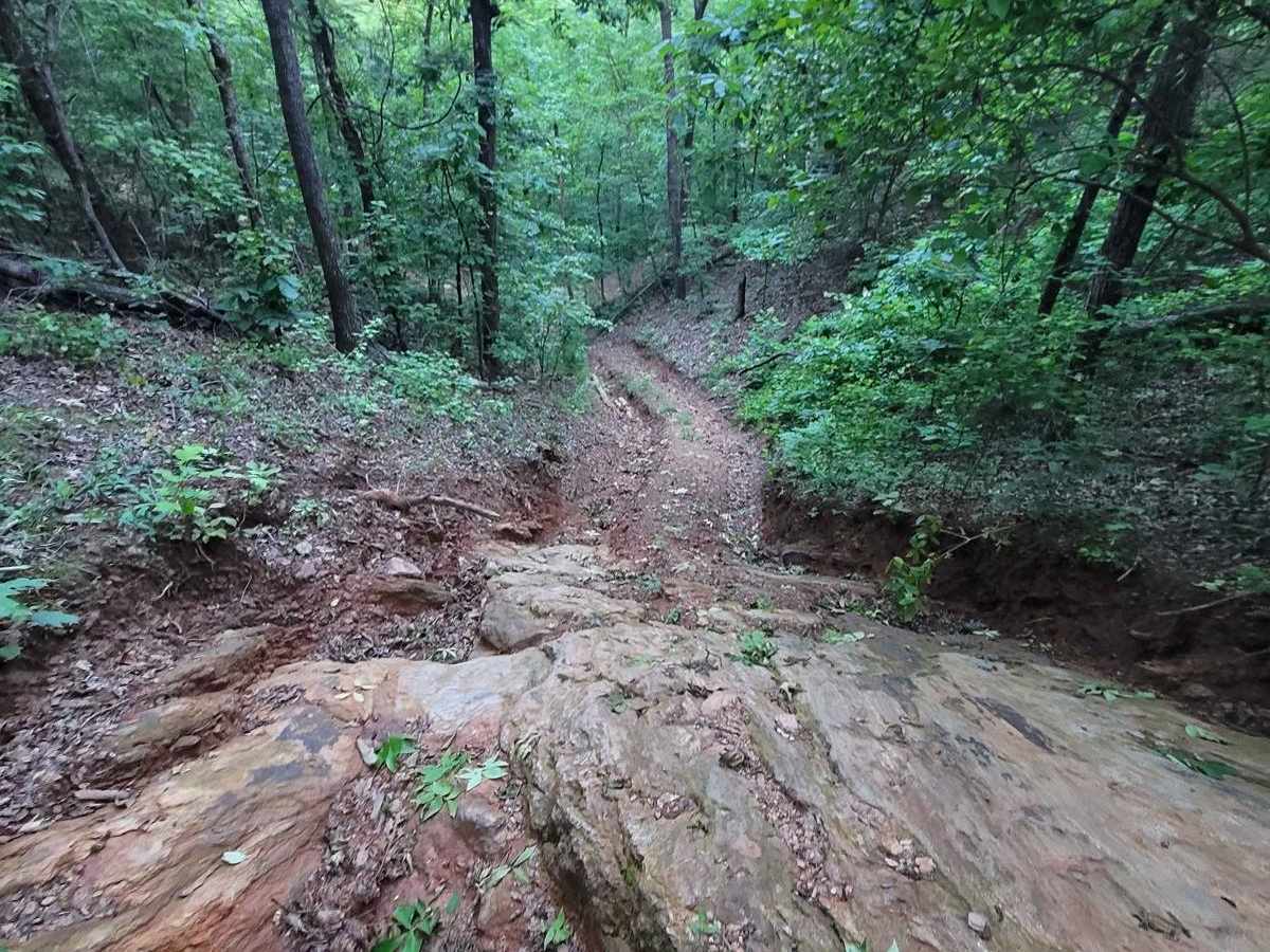 Still Hill photo 6