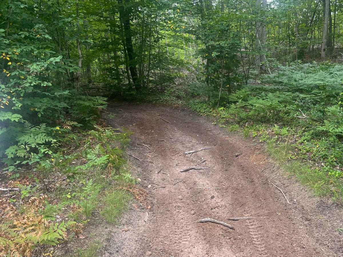 Silver Creek photo 5