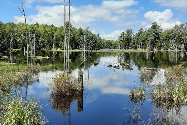Shoe Lake