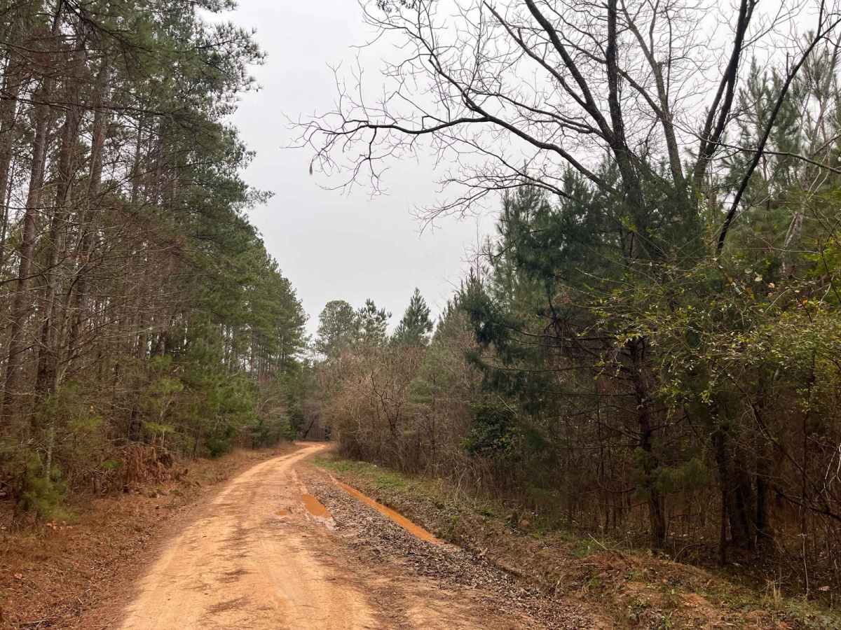 Rugged Hill Drive photo 3
