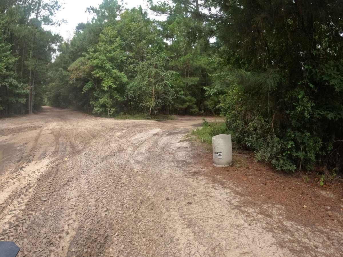 Cooke's Circle trail photo
