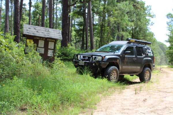 FSR 568 Hunters Camps