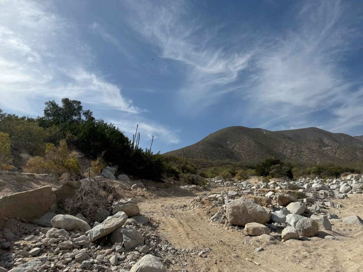New El Jalito wash photo 5