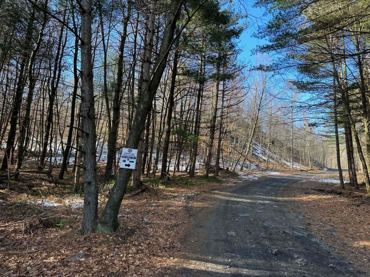 Locust Gap 16 photo 2