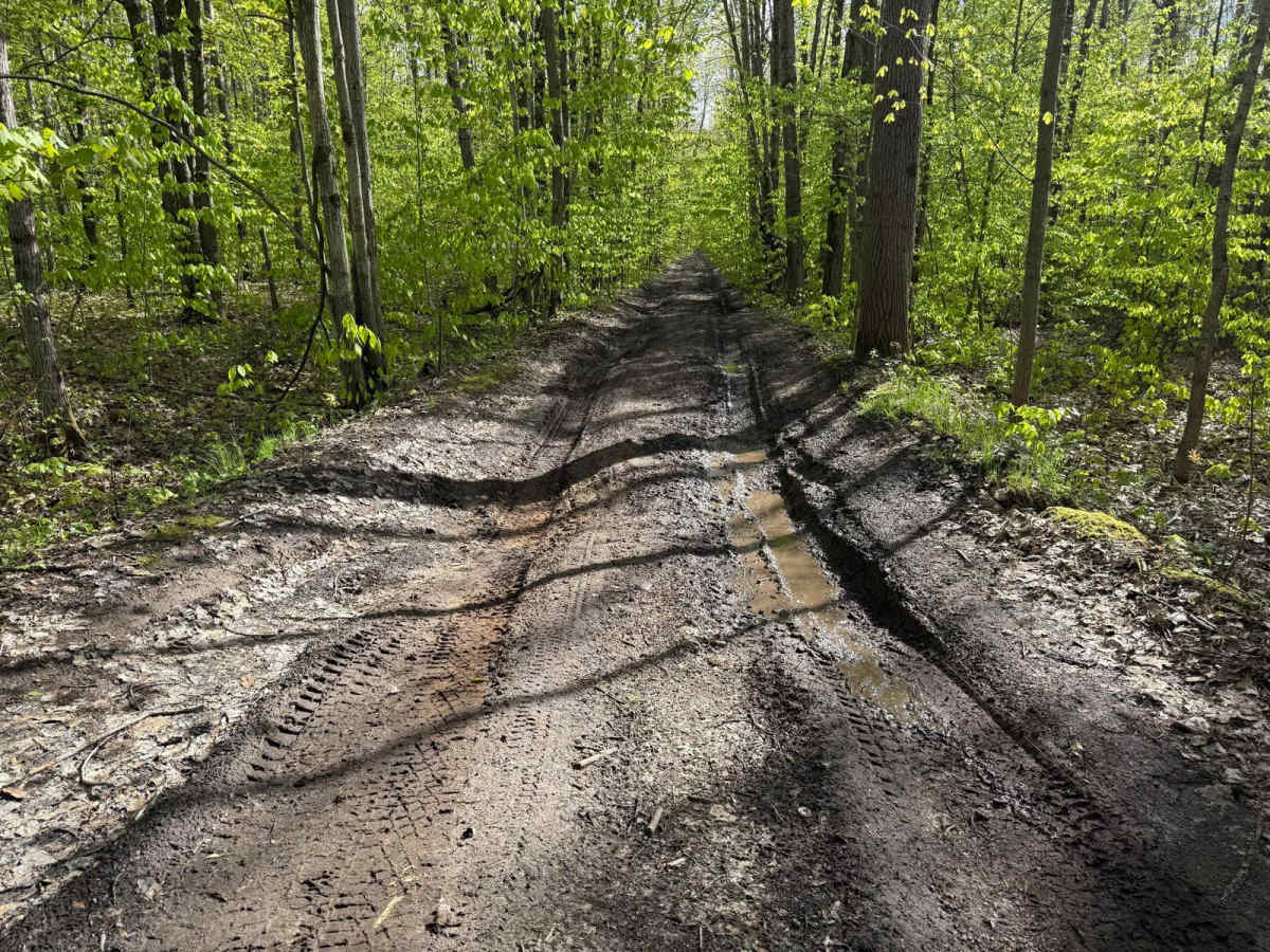 FS 4340 trail photo