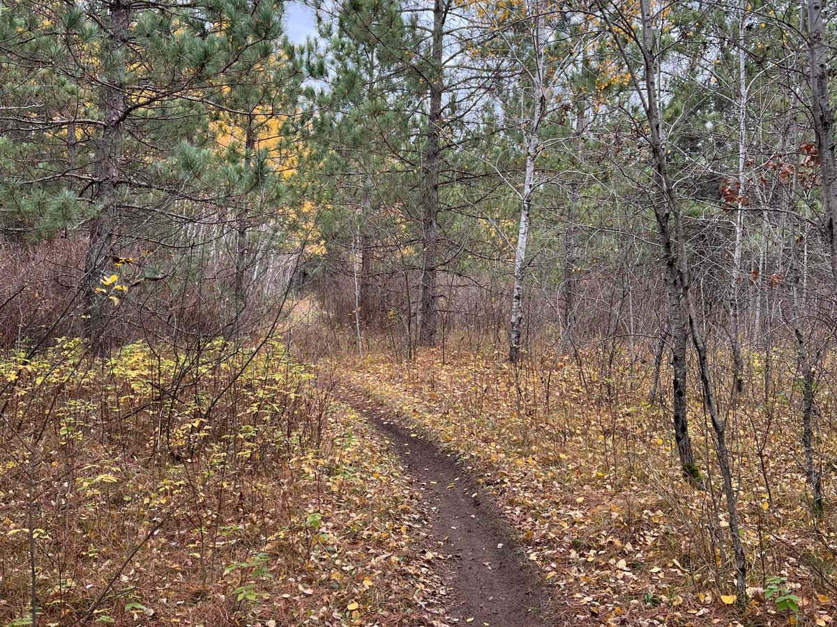 Huntersville Western Single Track Loop photo 6