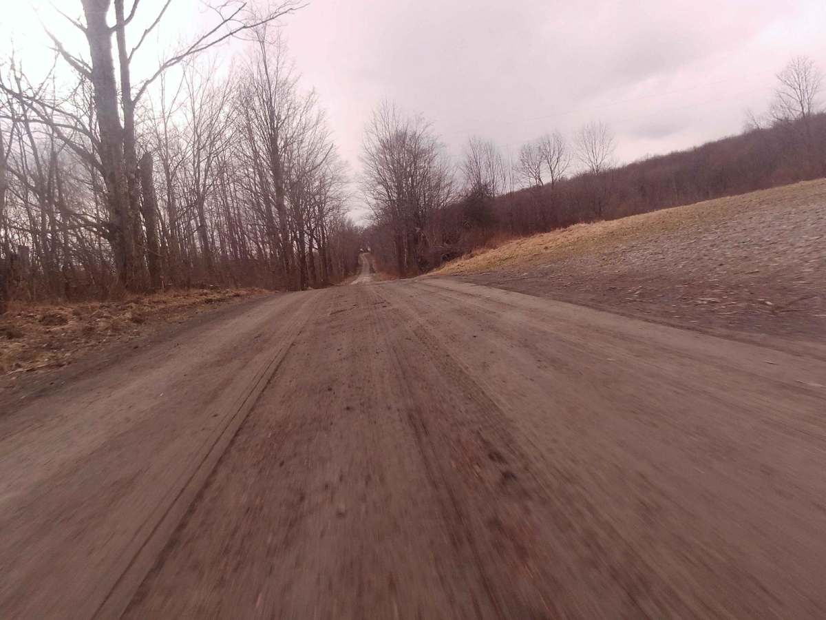Reagan Hill Road photo 5