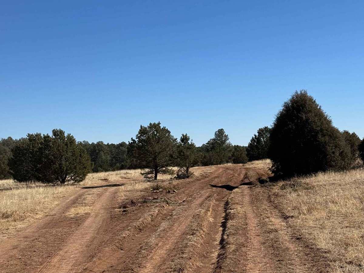 Glorieta Mesa photo 2