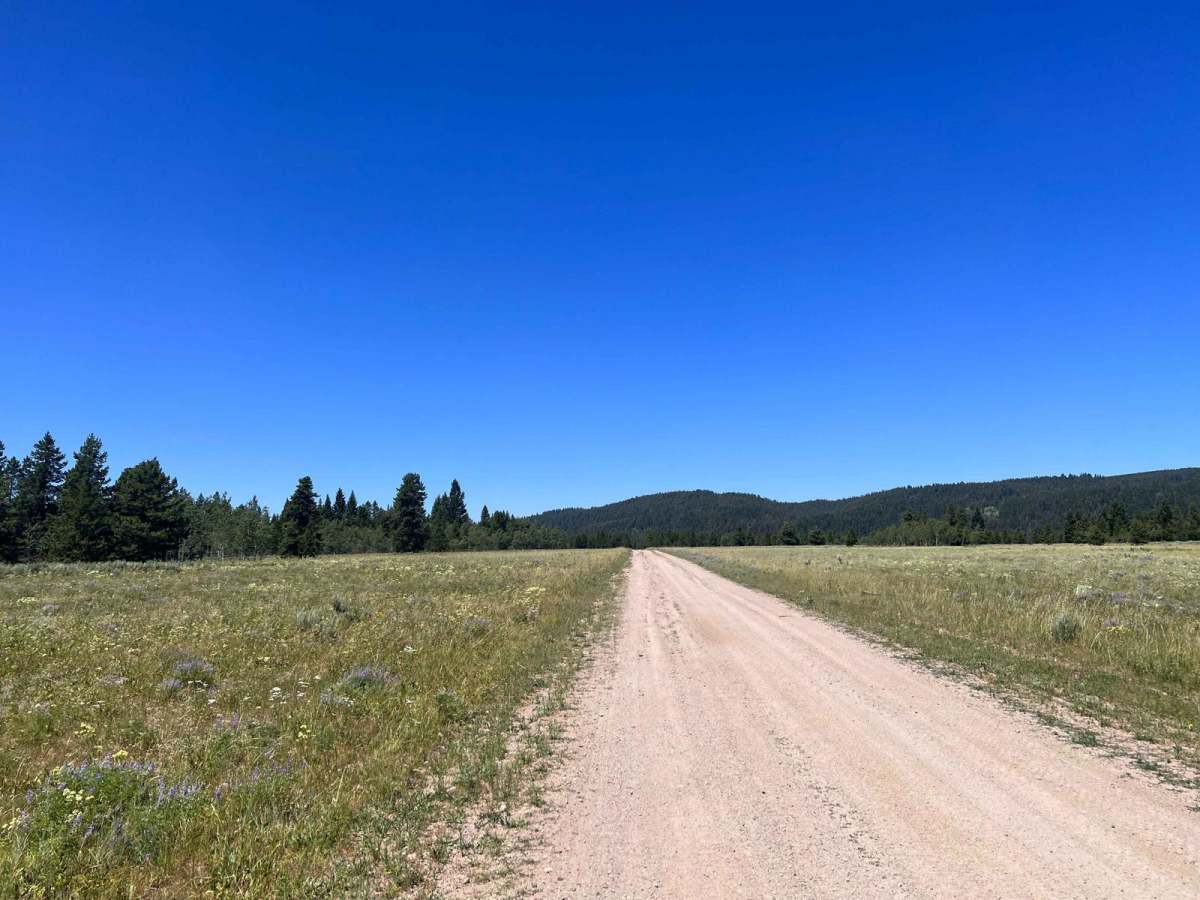 North Antelope Flat Road (20168) photo 5