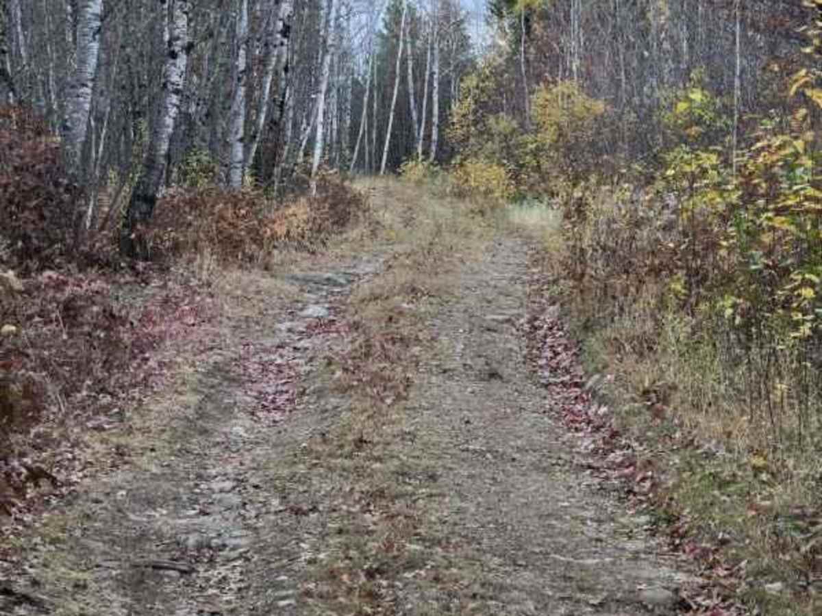 Twelve-Hundred Trail (SNF) photo 5