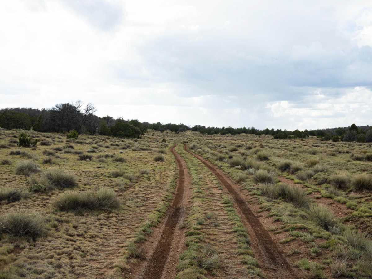 Rut Haven photo 2