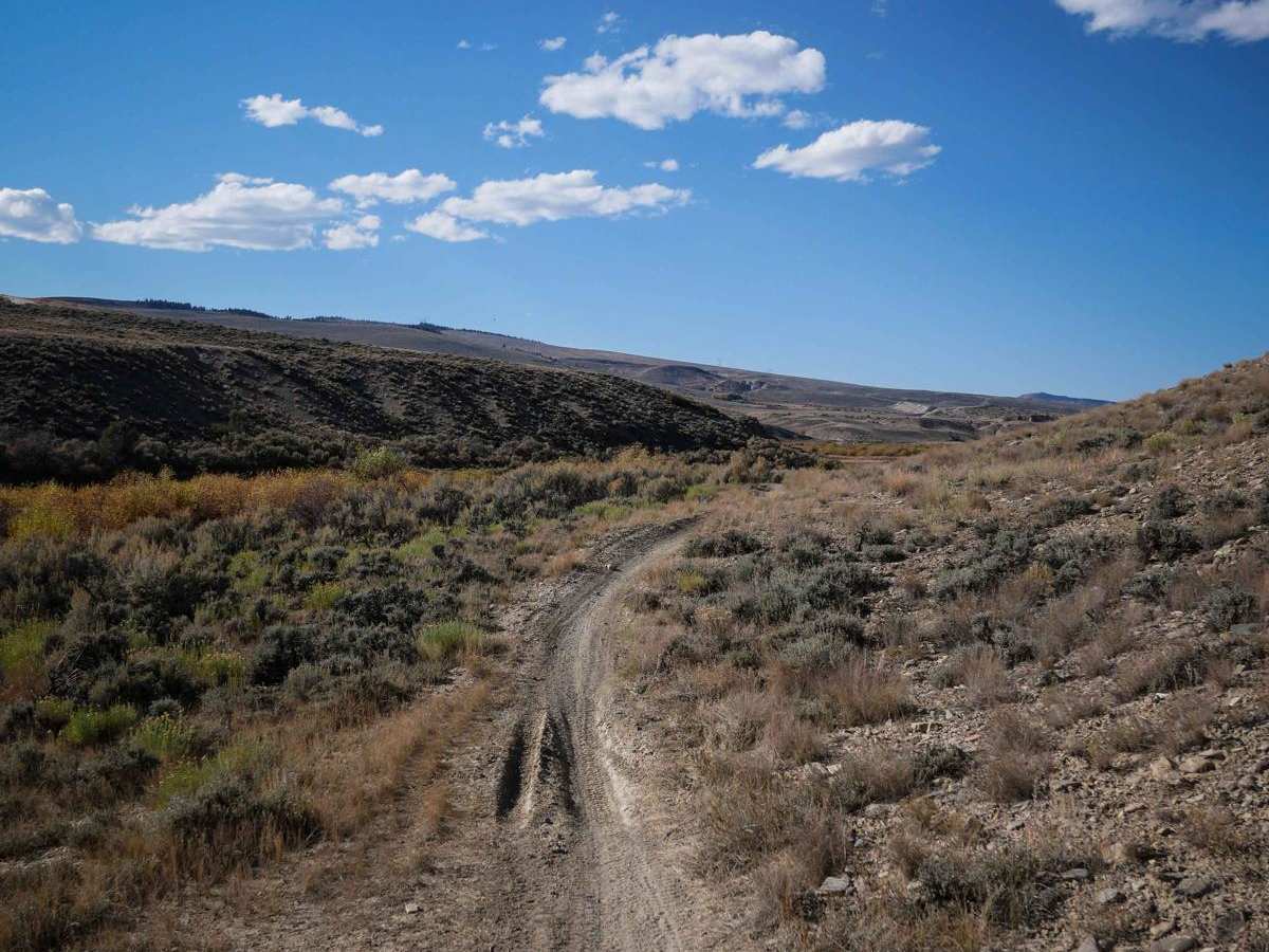 Cow Gulch photo 4