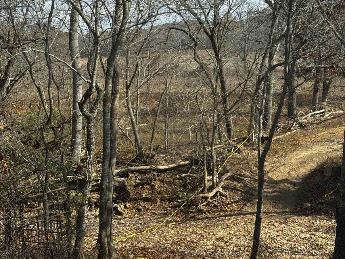 Loggers Trail trail photo