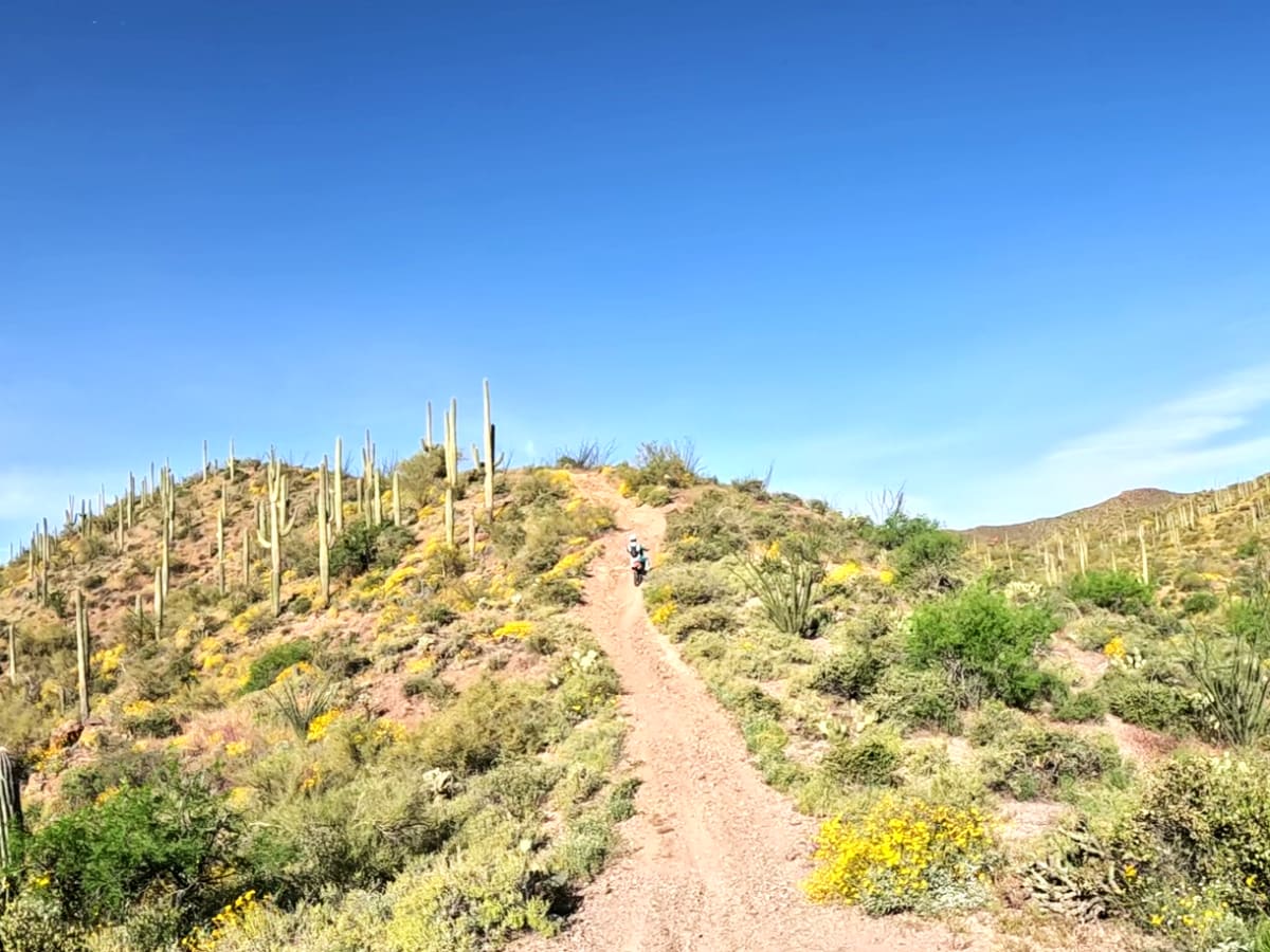 Trail 9412 photo 3