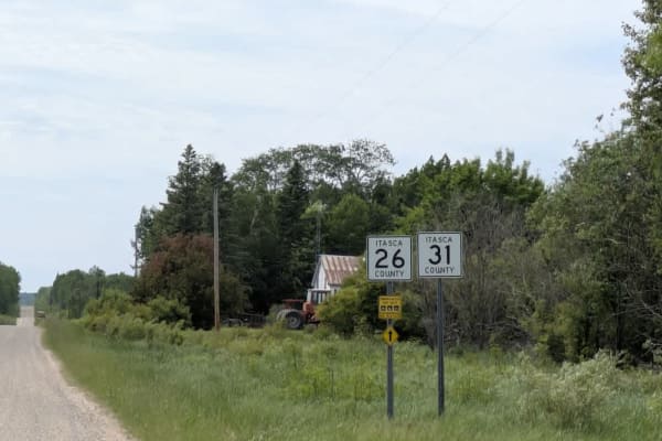 31