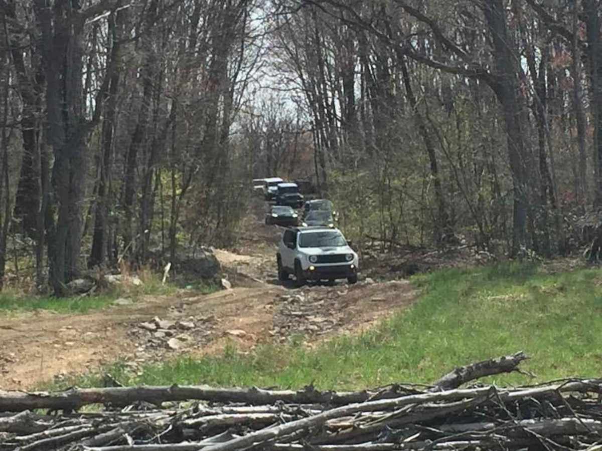 28 Green trail photo