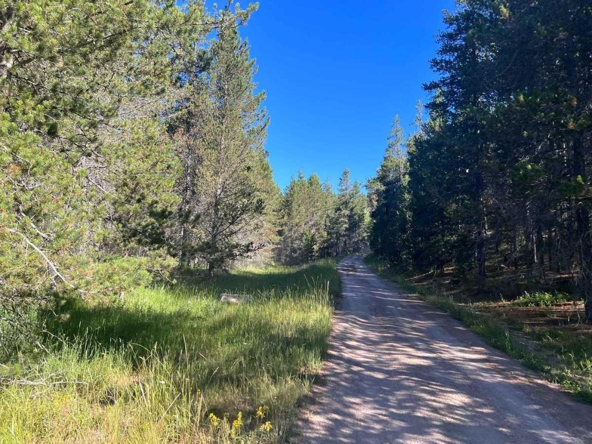 Sadorus Hill Road (20169) trail photo