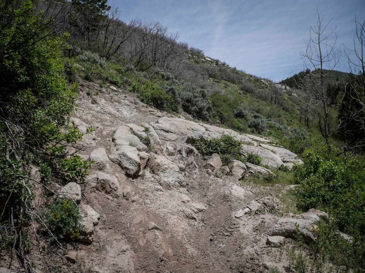 Fifth Water #015 trail photo