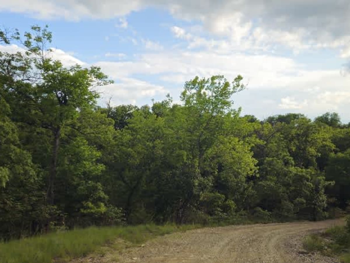 Clapboard Ravine trail photo