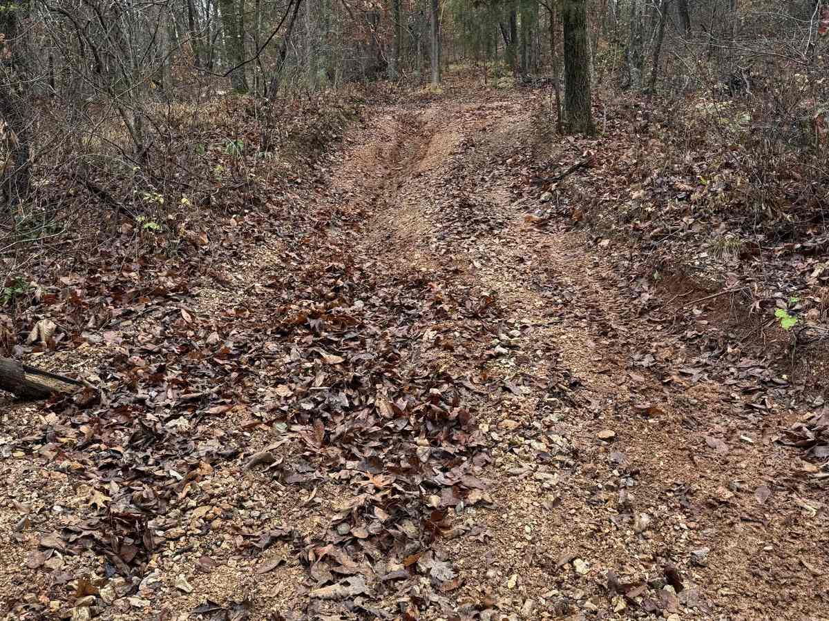 Yellow 87 trail photo