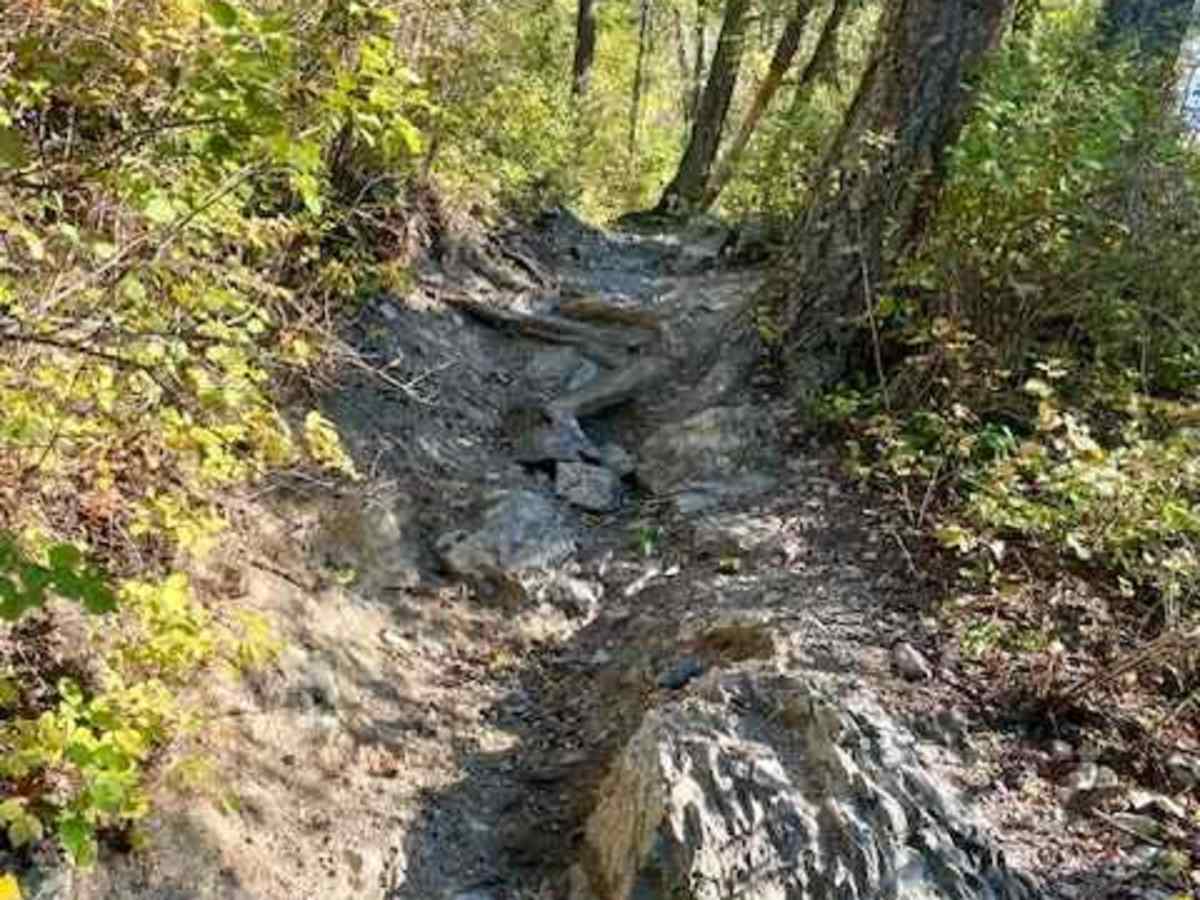 Columbia Mountain Loop photo 4
