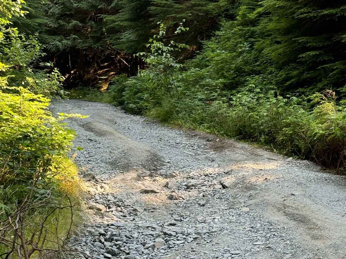 Boardman Lake Trail trail photo