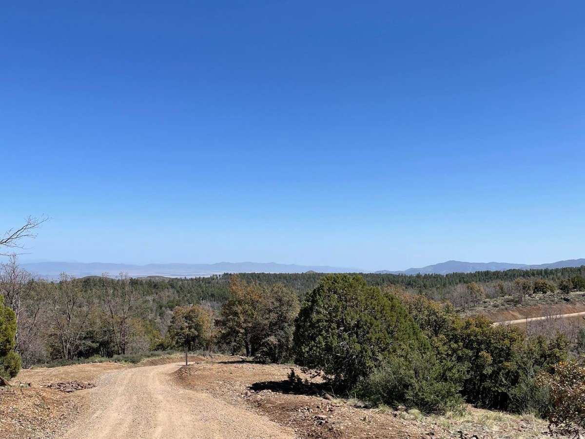 Forest Road 22 photo 2