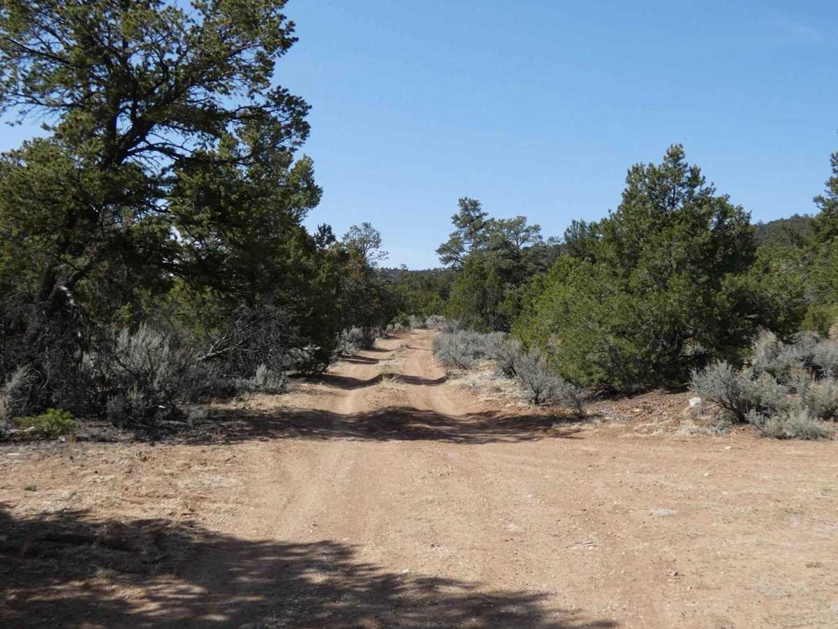 Vistas Overlook photo 2