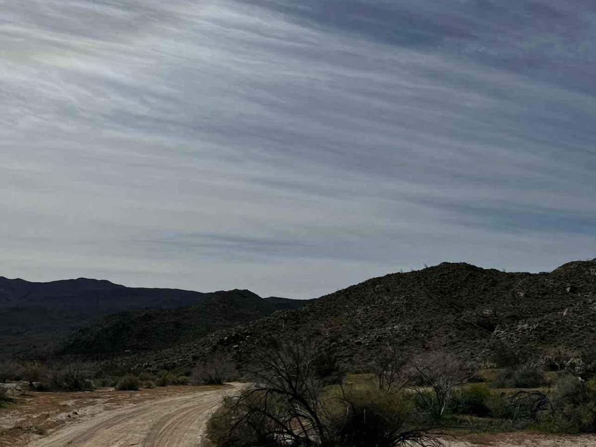 Grapevine Canyon Trail photo 3