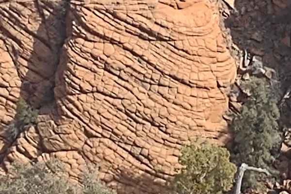 Leeds-Cottonwood Elephant Skin Canyon