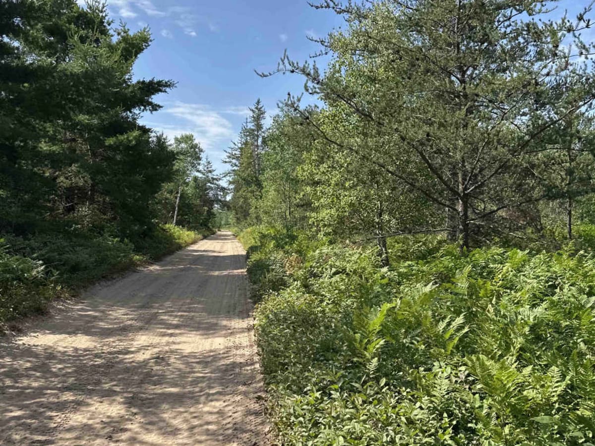 Star Road photo 2