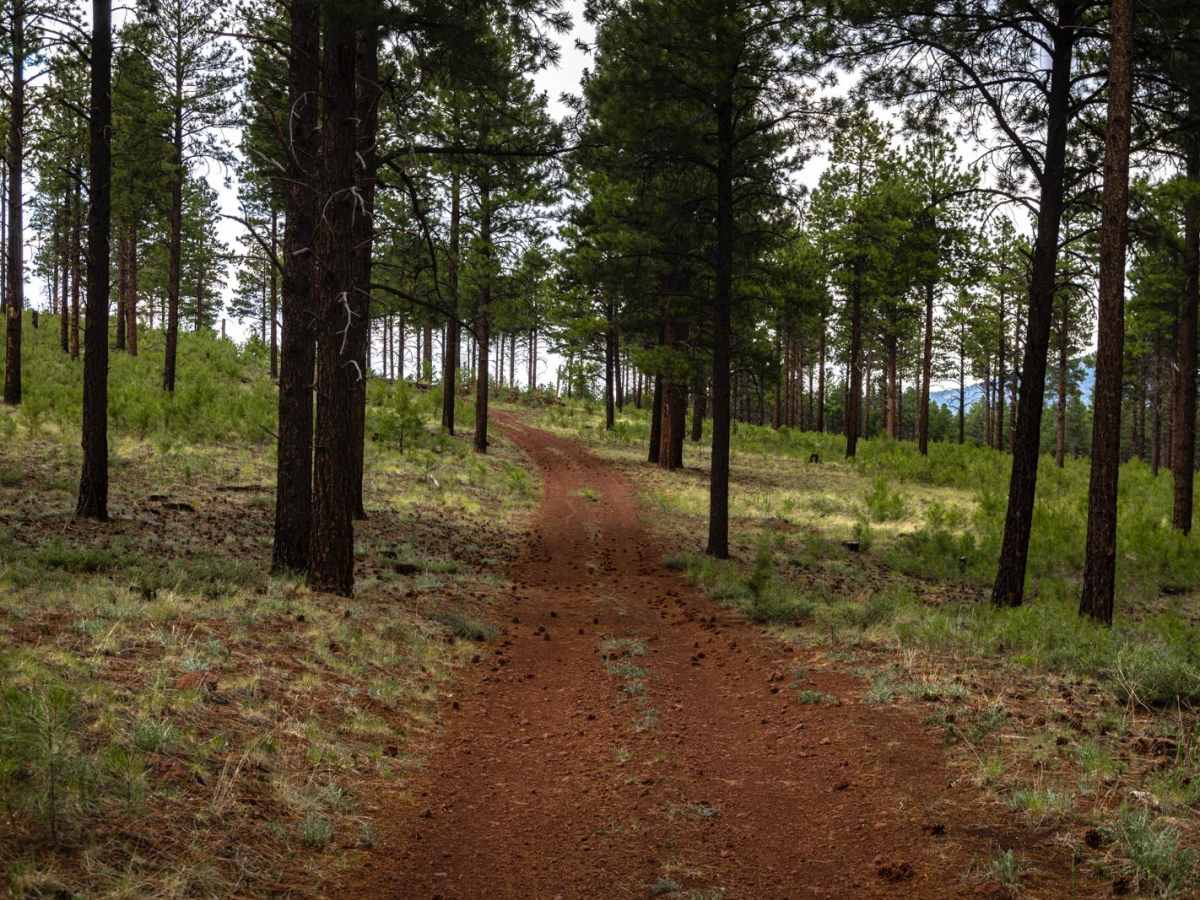 Section 16 Hill photo 4