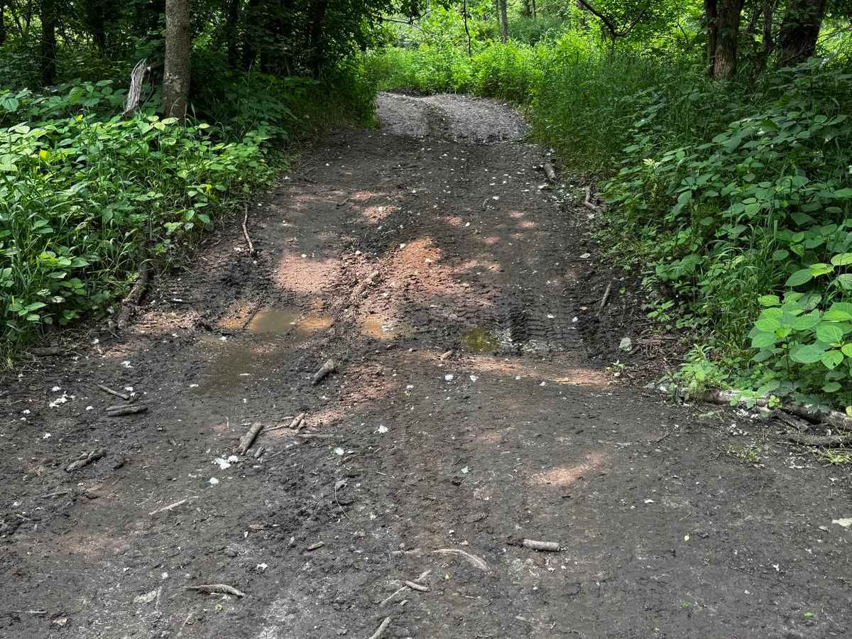 Green 59 trail photo