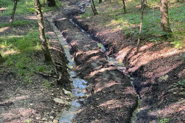 Buck Hill