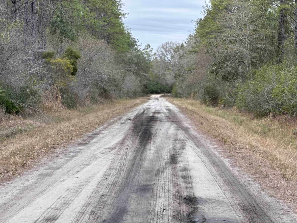 McIntyre Road trail photo