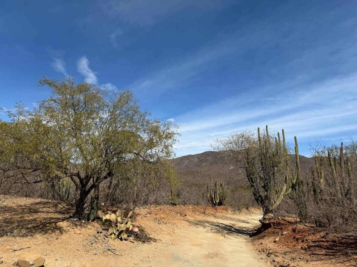 El Rosario Cutoff photo 6