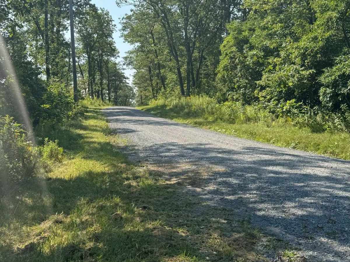 Underwood Road photo 4