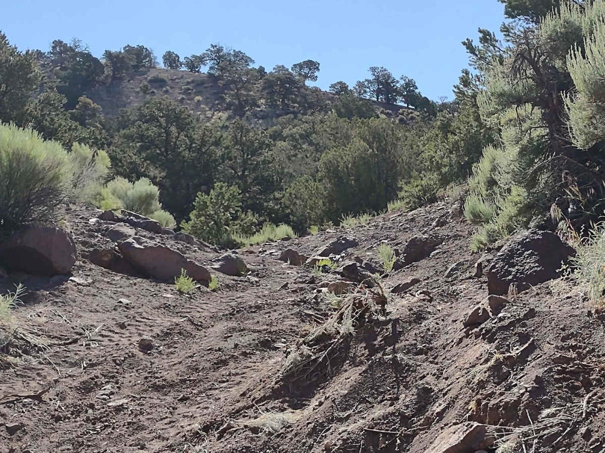 We're In A Tight Spot - BLM 5145 photo 5
