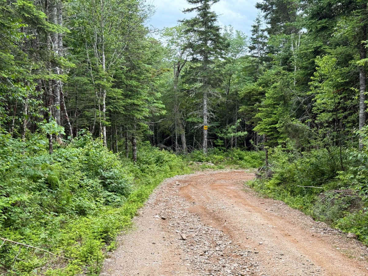 Trout River Trail photo 5
